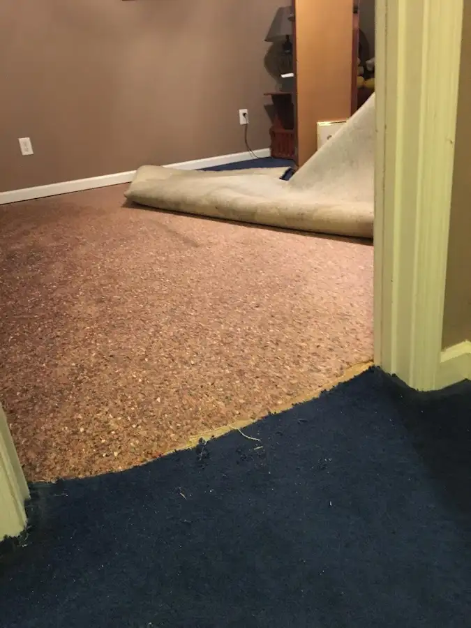 Carpet pad removal revealing water damage during Water Mitigation Services in Bardstown