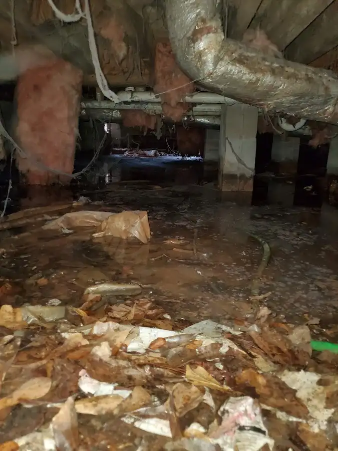 Crawl space flood assessment for Leak Detection & Repair in Bardstown