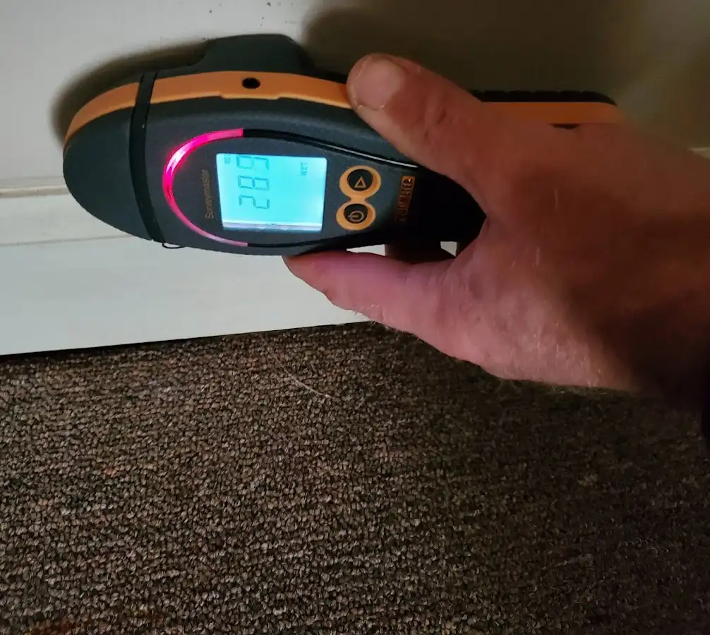 Moisture detection at baseboard during Sewage Cleanup & Sanitation in Bardstown